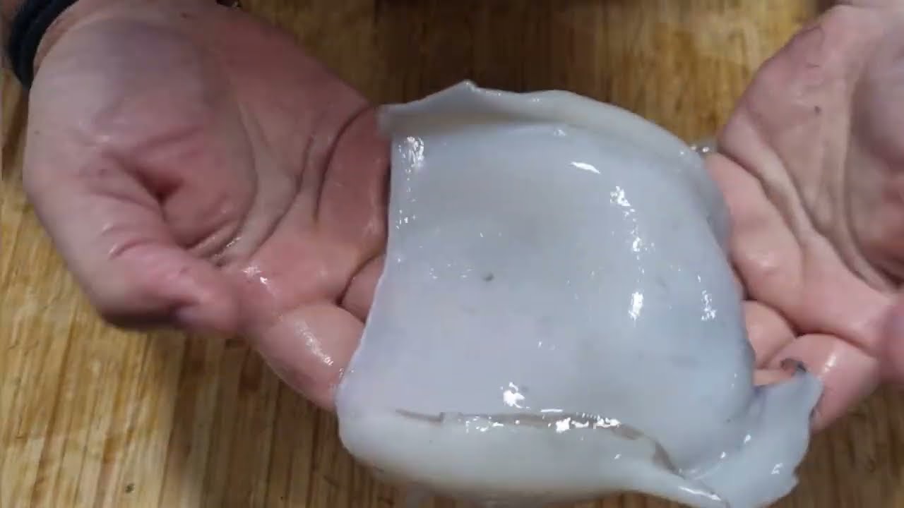 Como limpiar una sepia , choco o jibia