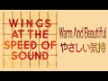 やさしい気持 Warm And Beautiful / ポール・マッカートニー Paul