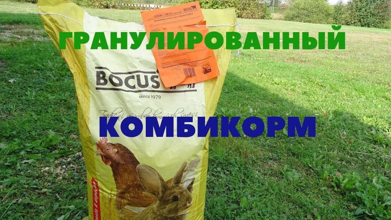 Обзор чешского комбикорма для кроликов