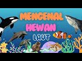 BELAJAR MENGENAL HEWAN LAUT, IKAN BADUT, LUMBA LUMBA, IKAN PAUS, HIU, PAUS, ANJING LAUT, KUDA LAUT