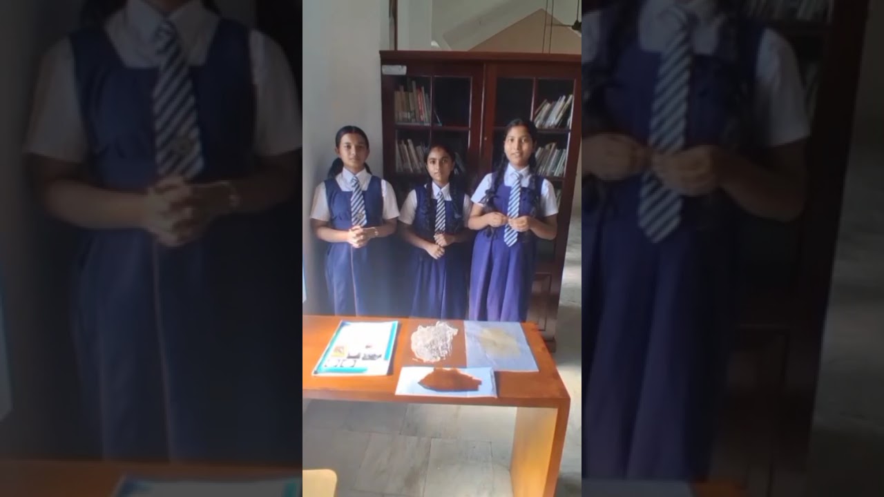 BIOPLASTIC FROM CASSAVA STARCH :A GREEN ALTERNATIVE TO CONVENTIONAL PLASTIC.