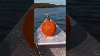 Escape Into The Beauty Of Autumn