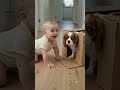 🐶👶 Ek pyara aur funny moment! 7–8 month ka baby aur uska loyal pet dog hallway mein cardboard box ke