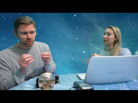 Для чего идти вперёд, если всё уже есть? Что происходит во время сна Для чего идти вперёд, если всё уже есть? Что происходит во время сна
