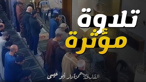 تلاوة خاشعة من #سورة_فصلت للقارئ: حمزة دار أبو عيسى @Hamza_abo_issa #شارك_تؤجر