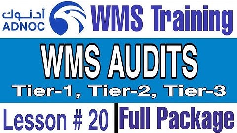 WMS Audits and it