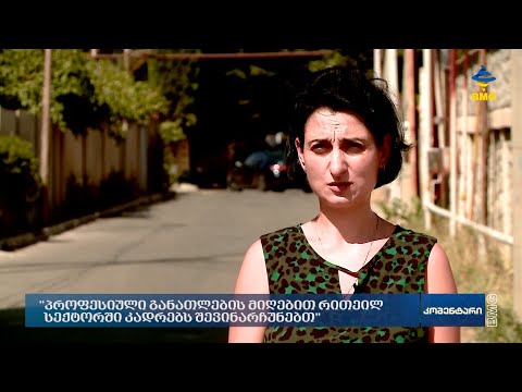 “პროფესიული განათლების მიღებით რითეილ სექტორში კადრებს შევინარჩუნებთ” - მირანდა მანჯგალაძე