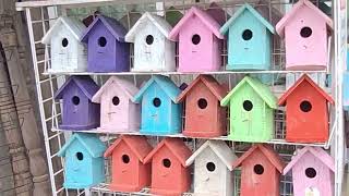 We created a birdscape!!
