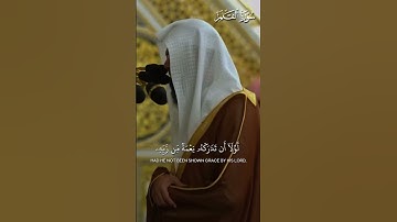 ما تيسر من سورة القلم | تلاوة فضيلة الشيخ أ.د.#محمد_برهجي