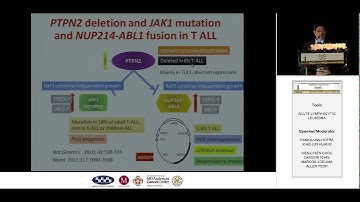 AN OVERVIEW OF MOLECULAR ALTERATIONS IN ACUTE LYMPHOBLASTIC LEUKEMIA WEN CHIEN CHOU
