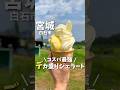 【宮城グルメ】コスパ最強のデカ盛りジェラート🍨#宮城観光 #宮城旅行 #宮城グルメ #仙台旅行 #仙台観光 #仙台グルメ #ジェラート #アイス #japanesefood #shorts