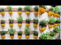 Recycling Plastic bottles into Beautiful vertical garden on Wall