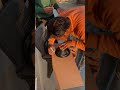 DIY cabinet making at home ! Tower cabinet! #viral
