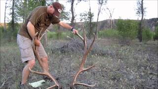 How to Score the an Elk Antler-Inside Spread and Final Score by JayScottOutdoors