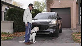 Dog Seat Covers For Ford Explorer