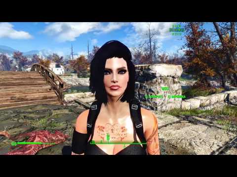 Установка сборки Fallout 4 Moded от games.portal.md