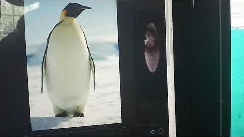 Finding nemo part 2 a terrible fate