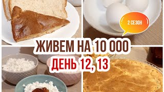 Живем на 10000 в месяц/Экономное питание семьи из 3 человек/День 12,13/Фудбук/Закупка продуктов