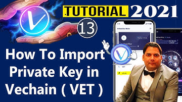 How To Import Private Key in Vechain Wallet | Best Cryptocurrency Wallets