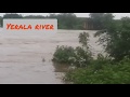 Yerala river overflowing  wangi to vita road underwater  maharashtra floods