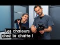 Ref:BXLoL97CDxY Les chaleurs chez la chatte ! ?