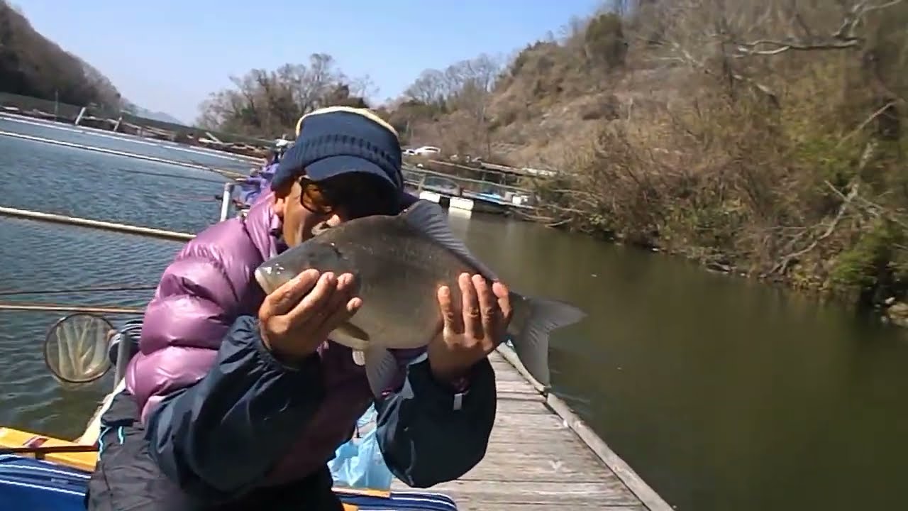 なんと！なんと！大饗様 超美へら49.2cm釣り上げ！