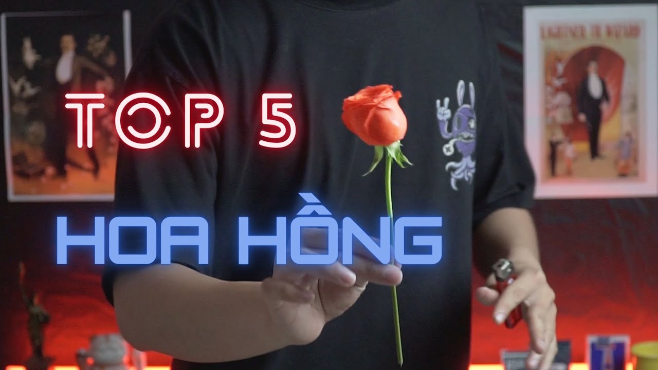 TOP 5 TRÒ ẢO THUẬT BIẾN RA HOA HỒNG CƯA ĐỔ MỌI CRUSH