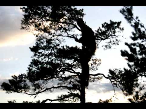 Der du ikkje skulle tru at nokon kunne bu