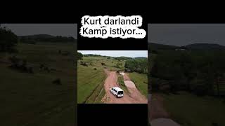 kurt darlandi kamp istiyor... #ülkücü #campping #kamp #real #viral