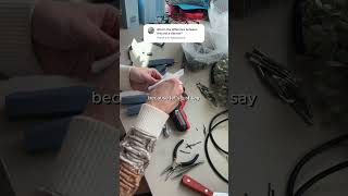 I Cant Believe I Even Have To Address This