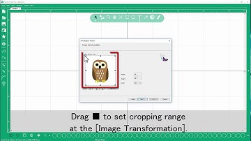 Tajima Writer Plus - Autodigitizer Tutorial