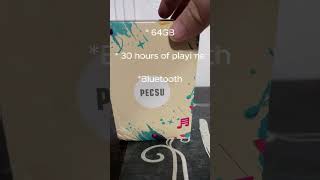 PECSU MP3 bluetooth music player with audio hookup capabilities amazon product partner review
