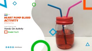 Heart Pump Blood | Science Experiment