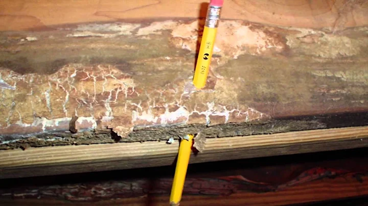 How to Fix a Moldy, Dirty Crawl Space | TC Hafford...