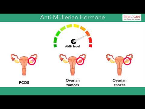 Anti Mullerian Hormone Chart