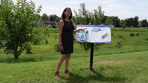 Perry the Raindrop - Watershed Awareness Video