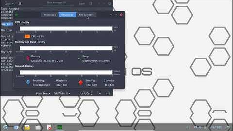Using Task Manager In Zorin OS - To Kill Process