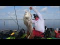 Giant 52 inch bull drum on a wake bait my personal record corpus christi wilsons cut kayak fishing