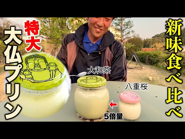 Nara Gourmet] Giant Buddha Pudding! Try all the new flavors