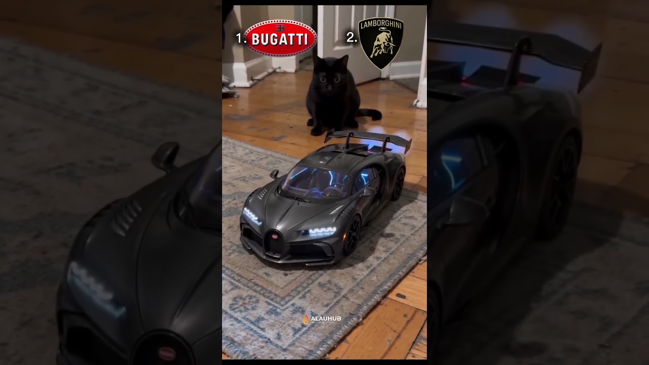 Lamborghini Egoista ма, Bugatti Bolide ме? 😳☝️🔥 #рек #rek