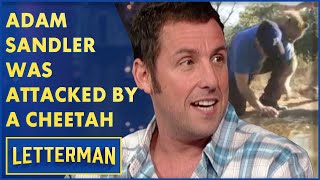 Adam Sandler Was Attacked By A Cheetah | Letterman