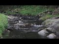 Forest Stream. Relaxing River Sound. Nature Sounds for Sleeping.