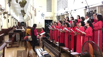 Lễ Dâng Đời Con St. Lm Nguyễn Hùng Cường