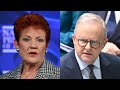 ‘The government is not telling the truth’: Hanson on Labor’s federal budget