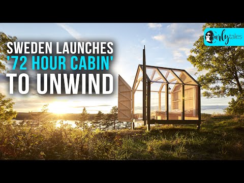 Stay In A Cabin For 72 Hrs In Sweden & Improve your Mental Health | Curly Tales