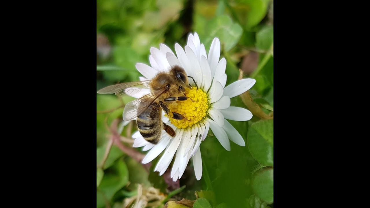 Samsung S8 photo samples