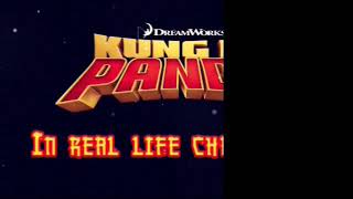 Kung Fu Panda Real Life