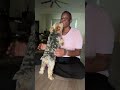 Off‑Duty Cuddle Shift 💤 | Tiny Dog Security