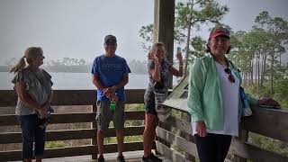Gulf Shores / Pine Beach Trail