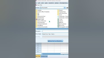 Transfer excel data into spss| #spss #research #shortsfeeds #dataanalytics #aitools # #excel